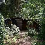 Black Veluwe - Wellness In Het Bos - Sauna *
