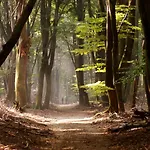 公寓 Black Veluwe - Wellness In Het Bos - Sauna *