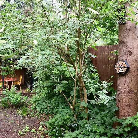 Black Veluwe - Wellness In Het Bos - Sauna Apartment Putten