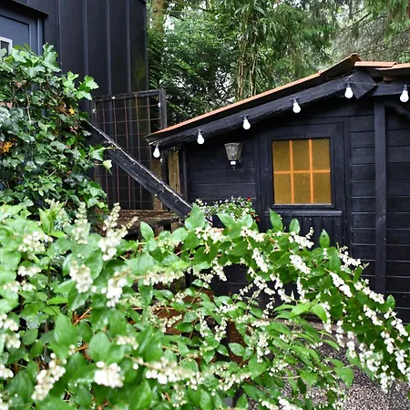 Black Veluwe - Wellness In Het Bos - Sauna * プッテン