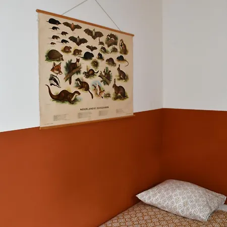Apartment Black Veluwe - Wellness In Het Bos - Sauna