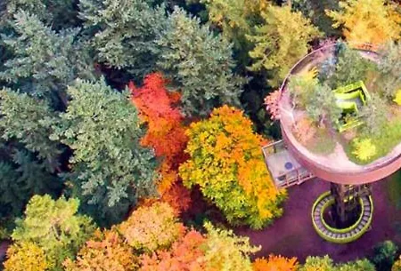 アパート Black Veluwe - Wellness In Het Bos - Sauna