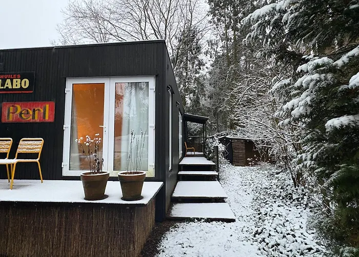 Black Veluwe - Wellness In Het Bos - Sauna