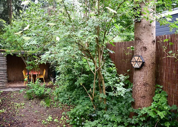 Black Veluwe - Wellness In Het Bos - Sauna Lägenhet Putten