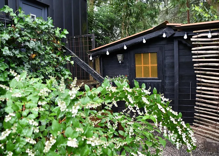 Black Veluwe - Wellness In Het Bos - Sauna * Putten
