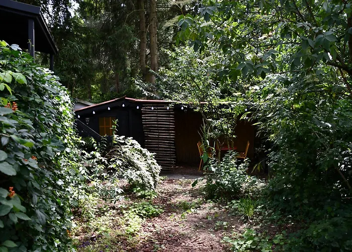 Black Veluwe - Wellness In Het Bos - Sauna *