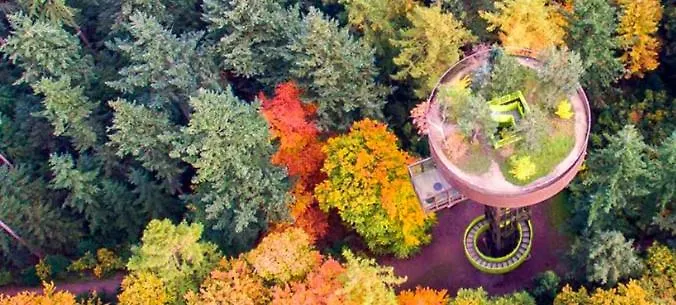 Lägenhet Black Veluwe - Wellness In Het Bos - Sauna