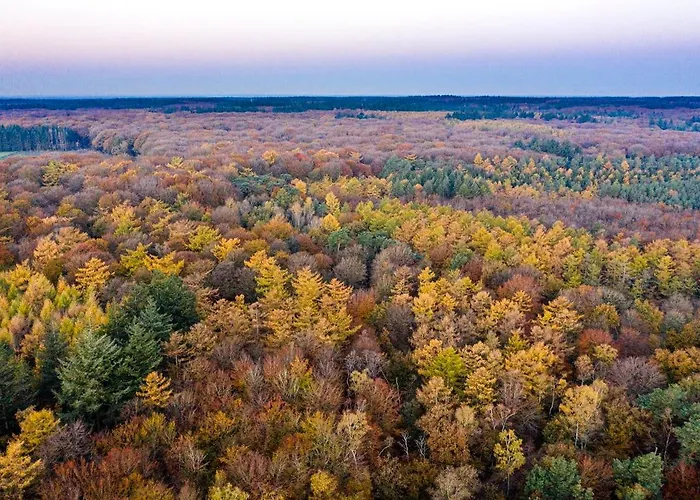 Black Veluwe - Wellness In Het Bos - Sauna Lägenhet *