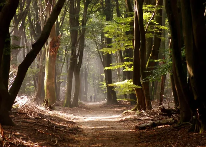 Lägenhet Black Veluwe - Wellness In Het Bos - Sauna *