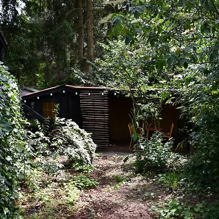 Black Veluwe - Wellness In Het Bos - Sauna *